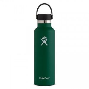 Hydro Flask 21oz Standard Mouth Water Bottle Sage Limited Offers