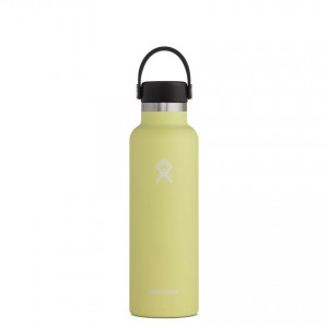 Hydro Flask 21oz Standard Mouth Water Bottle Pineapple on Deals