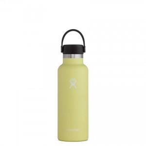 Hydro Flask 18oz Standard Mouth Water Bottle Pineapple Best Price