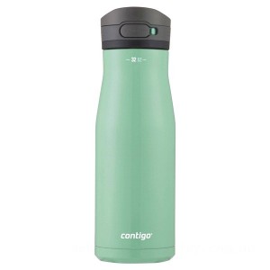 Contigo Jackson Chill 2.0 Stainless Steel Water Bottle with AUTOPOP® Lid, Coriander, 32 oz for Sale