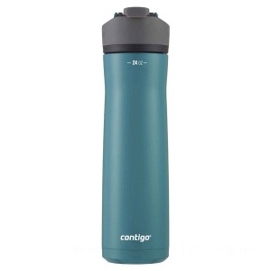 Contigo CORTLAND CHILL 2.0 Stainless Steel Water Bottle with AUTOSEAL® Lid, Painted Spirulina, 24 oz Outlet Sale
